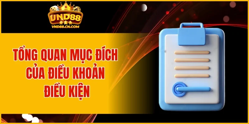 Tổng quan mục đích của điều khoản điều kiện